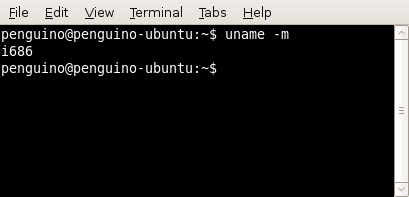 Installing TrueCrypt on Ubuntu 8.10